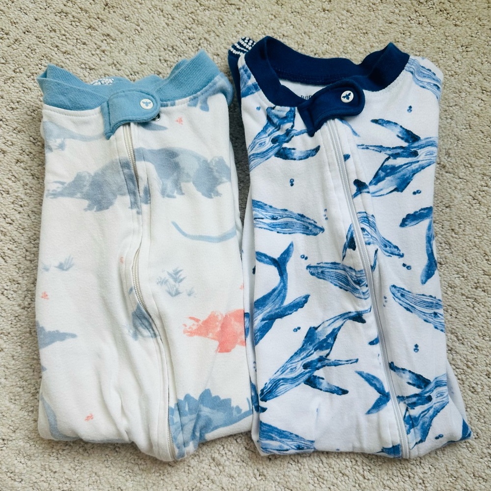 Burt’s Bees - 2 Pack Infant Onesies